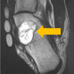 Screen Shot 2022 08 31 At 11.36.19 AM