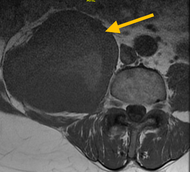 Screen Shot 2022 09 09 At 11.27.59 AM