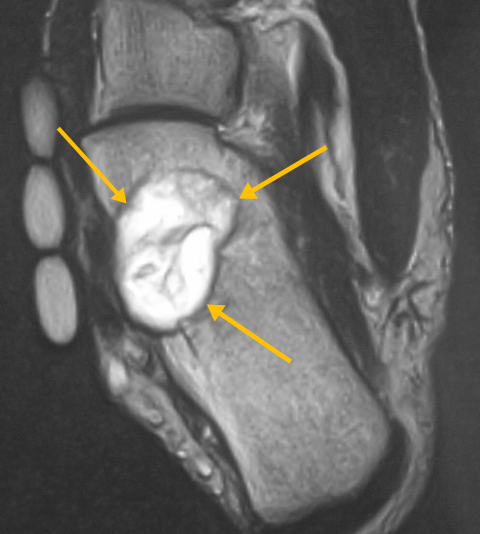 Screen Shot 2022 09 09 At 11.25.05 AM